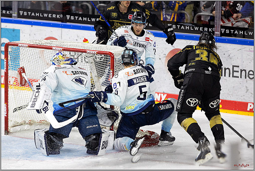 PENNY DEL;  Kölner Haie - ERC Ingolstadt; Köln, 25.11.2022